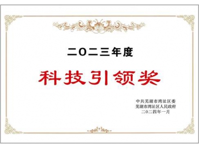 科技引领奖