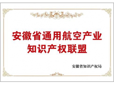 安徽省通用航空产业知识产权联盟
