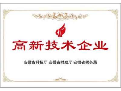 高新技术企业